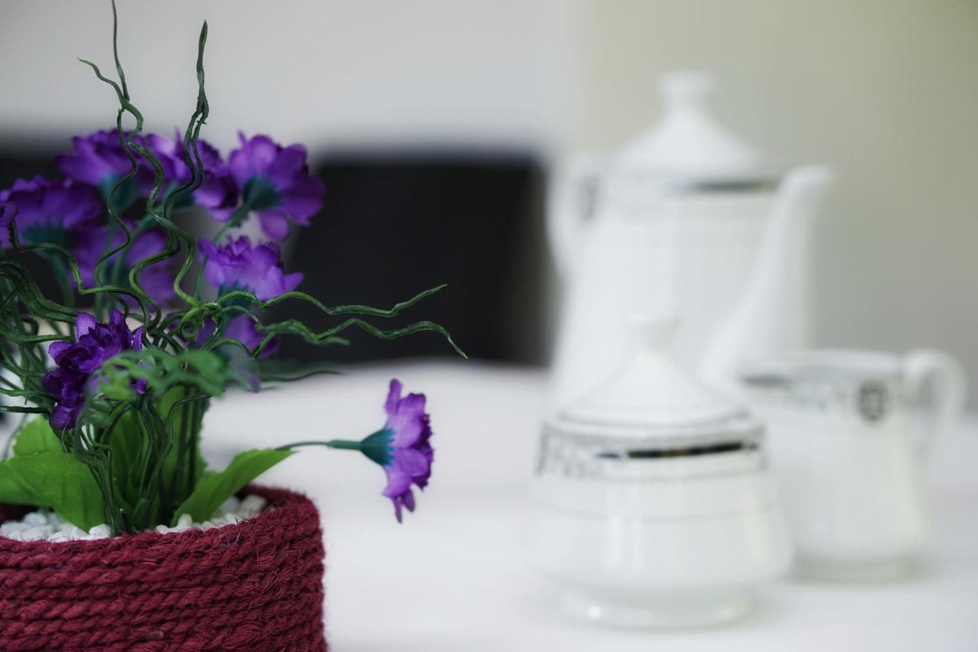 Sashini Homestay Sigiriya Ngoại thất bức ảnh