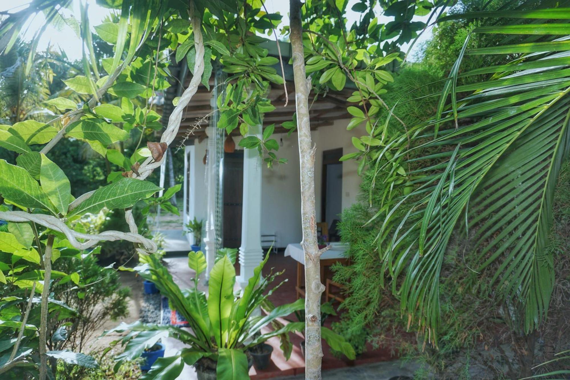 Sashini Homestay Sigiriya Ngoại thất bức ảnh